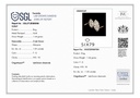 SP SIXLR0024P