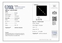 SP SIXLBR003P