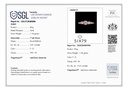 SP SIXLR001P
