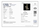 SP SIXPN1036