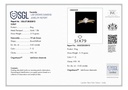 SP SIXLR2005
