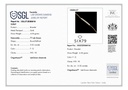 SP SIXLBR-637