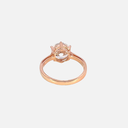 SIXLR0084P