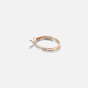 SIXLR0109P