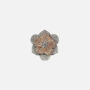 SIXLR0097P