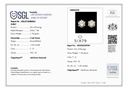SP SIXER0078P