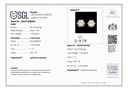 SP SIXER0077P