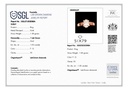 SP SIXLR0063P