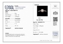 SP SIXLR0062P