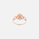 SIXLR0081P