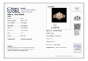 SP SIXLR0090P