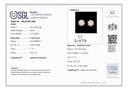 SP SIXER0081P