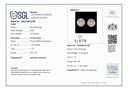 SP SIXER0057P