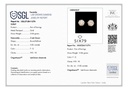SP SIXER0082P