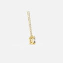 SIXPN008M (WITHOUT CHAIN)