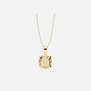 SIXPN0016M (WITHOUT CHAIN)