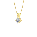 RDPN00108.1.yellow