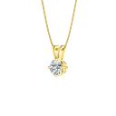 RDPN00104.1.yellow