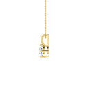 RDPN00104.5.yellow