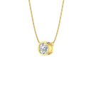 RDPN00106.1.yellow