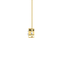 RDPN00106.5.yellow